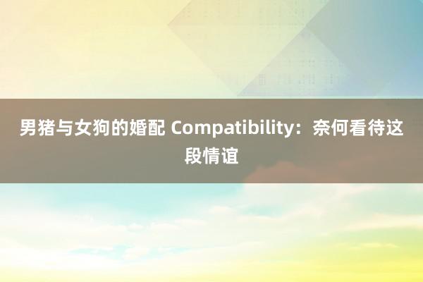 男猪与女狗的婚配 Compatibility：奈何看待这段情谊